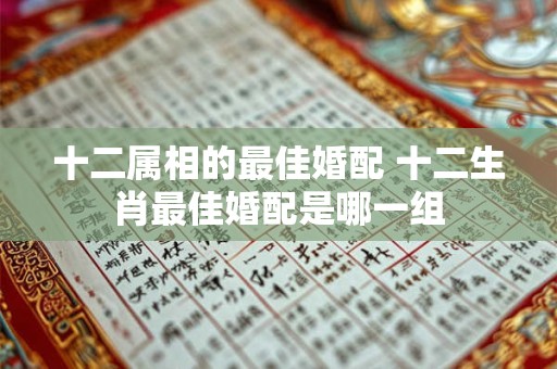 十二属相的最佳婚配 十二生肖最佳婚配是哪一组