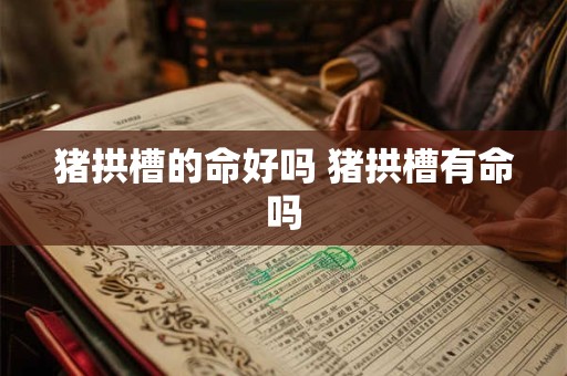 猪拱槽的命好吗 猪拱槽有命吗