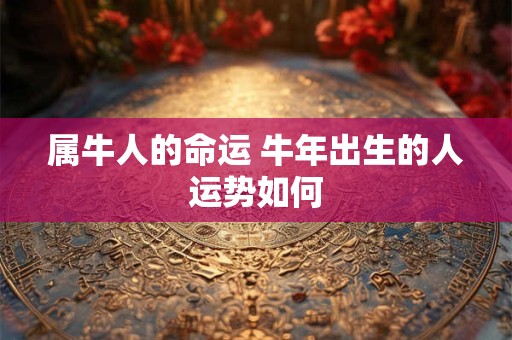 属牛人的命运 牛年出生的人运势如何