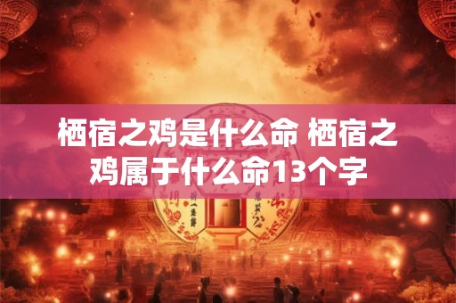 栖宿之鸡是什么命 栖宿之鸡属于什么命13个字 栖宿之鸡是什么命 栖宿之鸡属于什么命13个字
