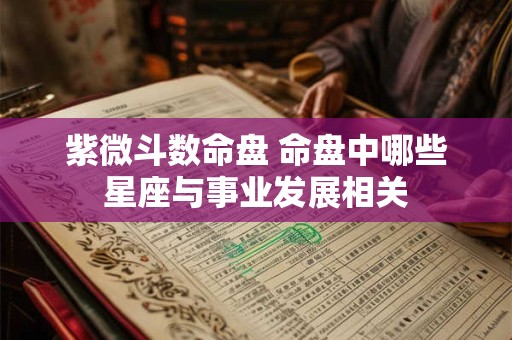 紫微斗数命盘 命盘中哪些星座与事业发展相关