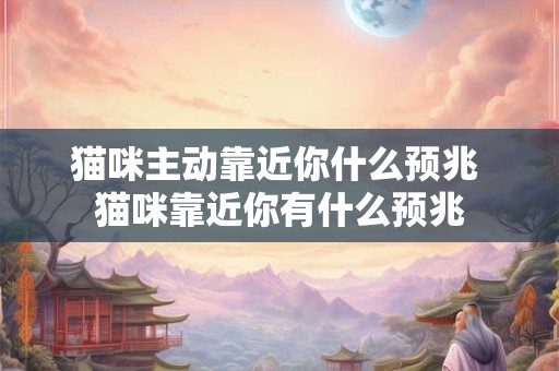猫咪主动靠近你什么预兆 猫咪靠近你有什么预兆