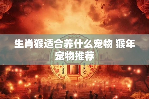 生肖猴适合养什么宠物 猴年宠物推荐