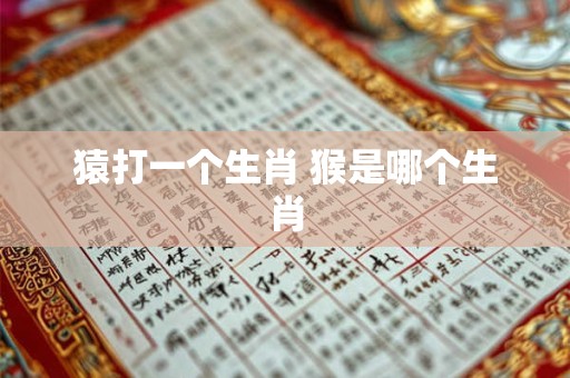 猿打一个生肖 猴是哪个生肖