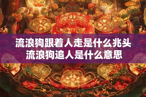 流浪狗跟着人走是什么兆头 流浪狗追人是什么意思 流浪狗跟着人走是什么兆头 流浪狗追人是什么意思