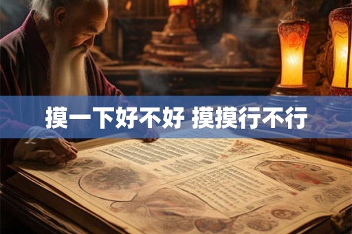 摸一下好不好 摸摸行不行