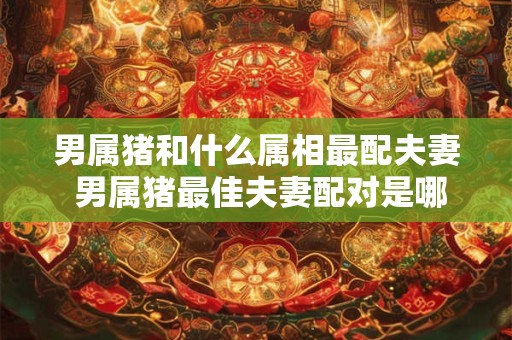 男属猪和什么属相最配夫妻 男属猪最佳夫妻配对是哪个属相