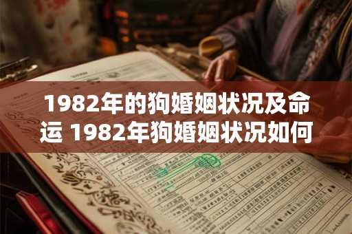 1982年的狗婚姻状况及命运 1982年狗婚姻状况如何 1982年的狗婚姻状况及命运 1982年狗婚姻状况如何