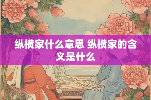 纵横家什么意思 纵横家的含义是什么