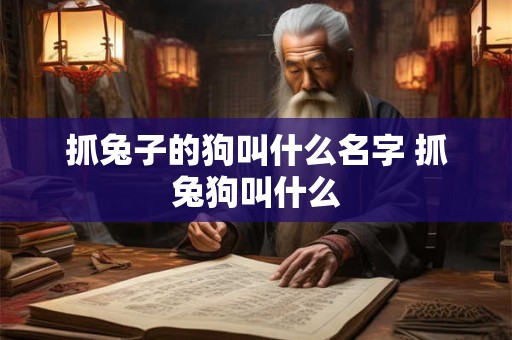 抓兔子的狗叫什么名字 抓兔狗叫什么