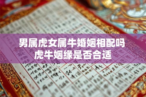 男属虎女属牛婚姻相配吗 虎牛姻缘是否合适 男属虎女属牛婚姻相配吗 虎牛姻缘是否合适