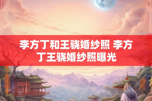 李方丁和王骁婚纱照 李方丁王骁婚纱照曝光