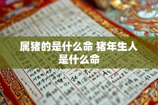 属猪的是什么命 猪年生人是什么命 属猪的是什么命 猪年生人是什么命