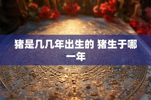 猪是几几年出生的 猪生于哪一年