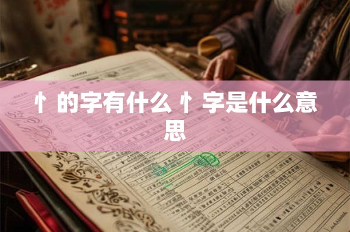 忄的字有什么 忄字是什么意思 忄的字有什么 忄字是什么意思