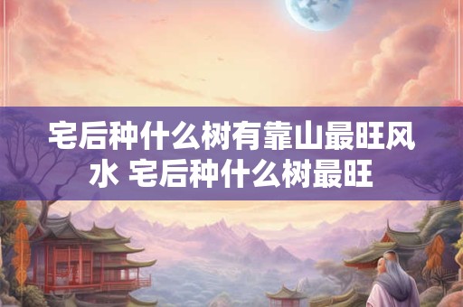 宅后种什么树有靠山最旺风水 宅后种什么树最旺 宅后种什么树有靠山最旺风水 宅后种什么树最旺