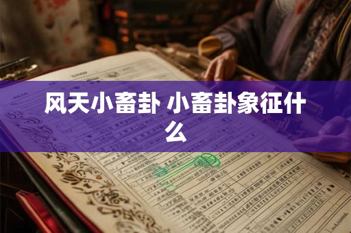 风天小畜卦 小畜卦象征什么 风天小畜卦 小畜卦象征什么