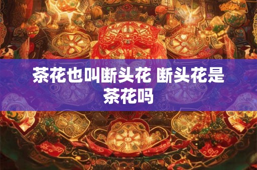 茶花也叫断头花 断头花是茶花吗