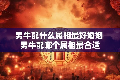 男牛配什么属相最好婚姻 男牛配哪个属相最合适 男牛配什么属相最好婚姻 男牛配哪个属相最合适