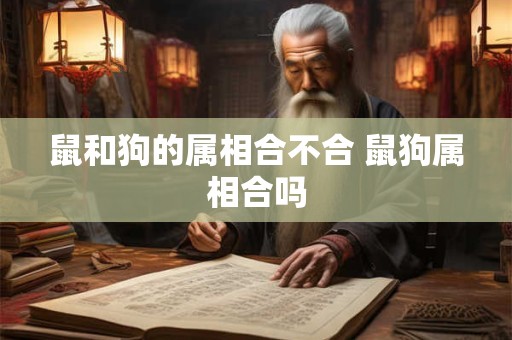 鼠和狗的属相合不合 鼠狗属相合吗