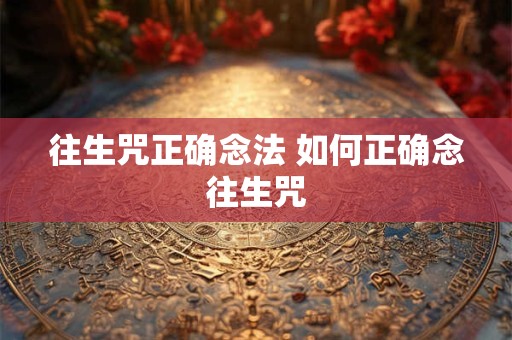 往生咒正确念法 如何正确念往生咒 往生咒正确念法 如何正确念往生咒