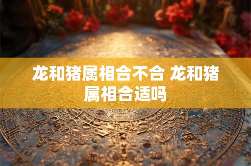 龙和猪属相合不合 龙和猪属相合适吗