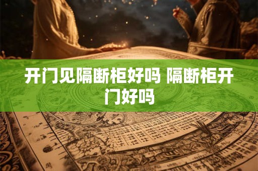 开门见隔断柜好吗 隔断柜开门好吗