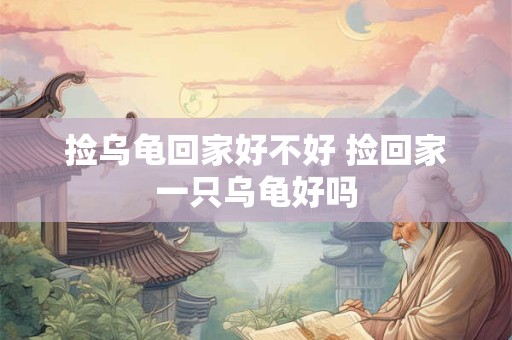 捡乌龟回家好不好 捡回家一只乌龟好吗