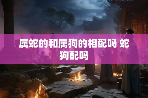 属蛇的和属狗的相配吗 蛇狗配吗 属蛇的和属狗的相配吗 蛇狗配吗