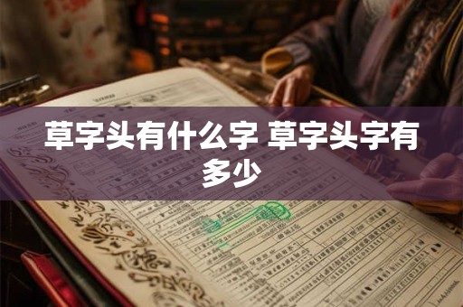 草字头有什么字 草字头字有多少