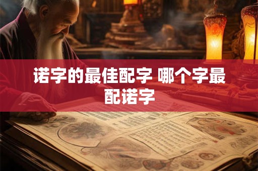 诺字的最佳配字 哪个字最配诺字