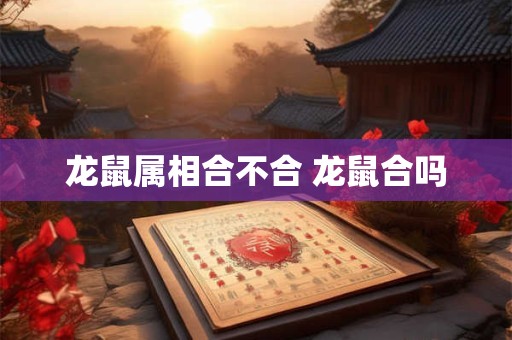 龙鼠属相合不合 龙鼠合吗 龙鼠属相合不合 龙鼠合吗