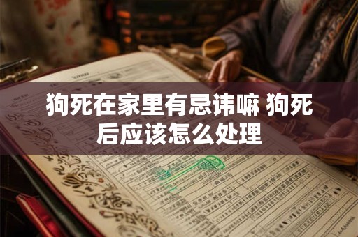 狗死在家里有忌讳嘛 狗死后应该怎么处理