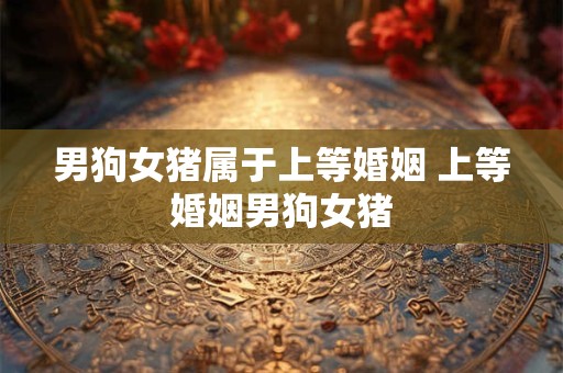 男狗女猪属于上等婚姻 上等婚姻男狗女猪 男狗女猪属于上等婚姻 上等婚姻男狗女猪