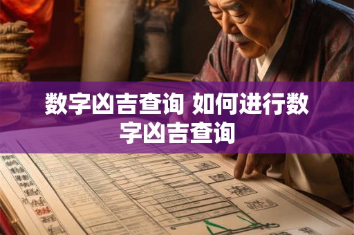 数字凶吉查询 如何进行数字凶吉查询