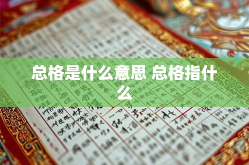 总格是什么意思 总格指什么