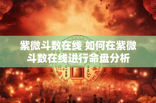 紫微斗数在线 如何在紫微斗数在线进行命盘分析 紫微斗数在线 如何在紫微斗数在线进行命盘分析