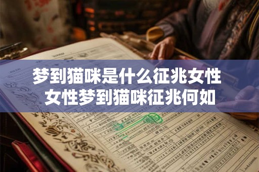 梦到猫咪是什么征兆女性 女性梦到猫咪征兆何如 梦到猫咪是什么征兆女性 女性梦到猫咪征兆何如