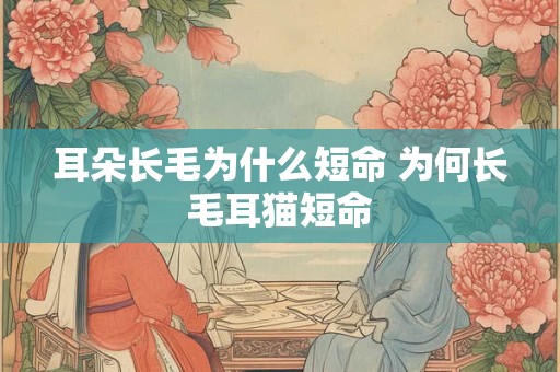 耳朵长毛为什么短命 为何长毛耳猫短命