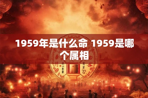 1959年是什么命 1959是哪个属相