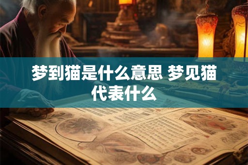 梦到猫是什么意思 梦见猫代表什么 梦到猫是什么意思 梦见猫代表什么
