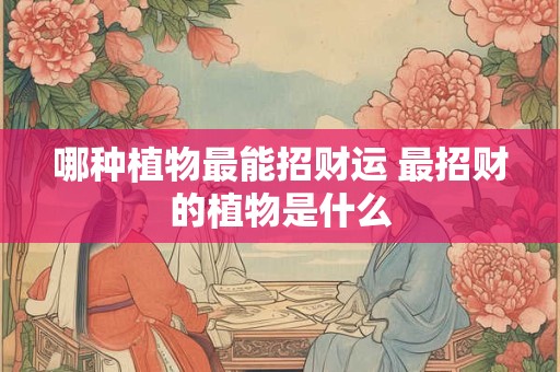 哪种植物最能招财运 最招财的植物是什么