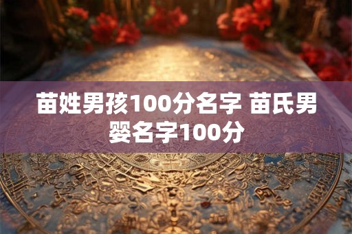 苗姓男孩100分名字 苗氏男婴名字100分