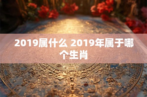 2019属什么 2019年属于哪个生肖 2019属什么 2019年属于哪个生肖