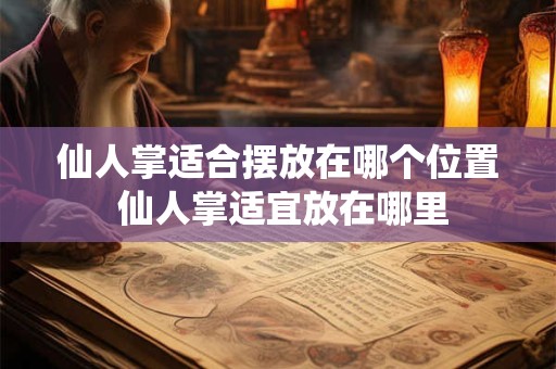 仙人掌适合摆放在哪个位置 仙人掌适宜放在哪里