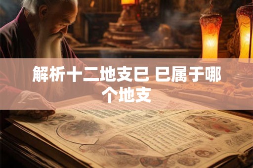 解析十二地支巳 巳属于哪个地支