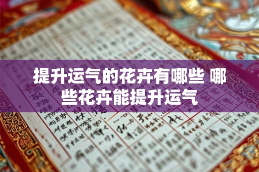 提升运气的花卉有哪些 哪些花卉能提升运气 提升运气的花卉有哪些 哪些花卉能提升运气