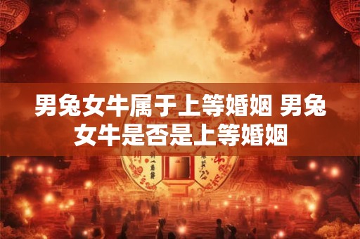 男兔女牛属于上等婚姻 男兔女牛是否是上等婚姻 男兔女牛属于上等婚姻 男兔女牛是否是上等婚姻