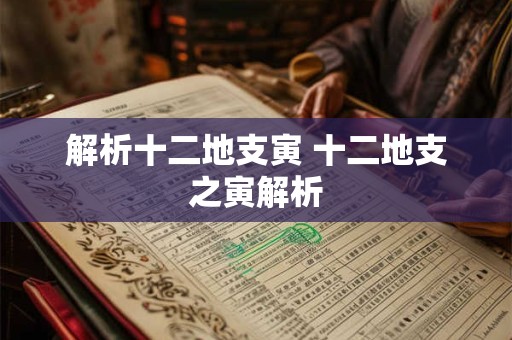 解析十二地支寅 十二地支之寅解析