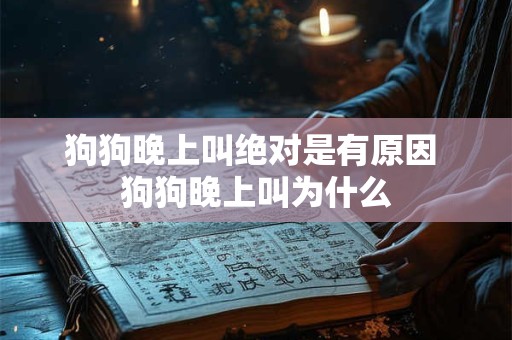 狗狗晚上叫绝对是有原因 狗狗晚上叫为什么 狗狗晚上叫绝对是有原因 狗狗晚上叫为什么